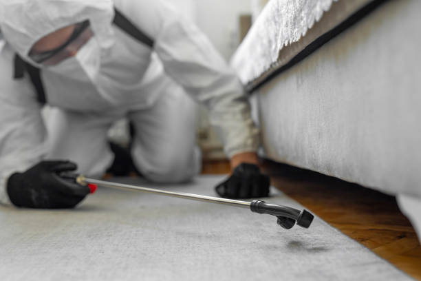 Professional Bed Bug Control technician working in Belcourt, ND