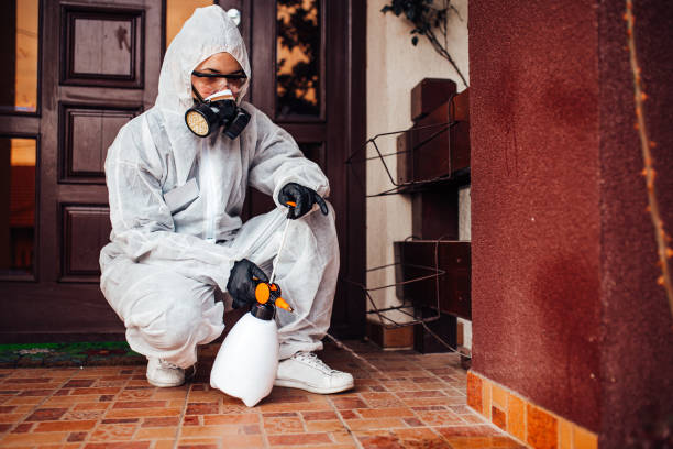 Reliable Bed Bug Control contractor in Belcourt, ND by Nex Pest Control