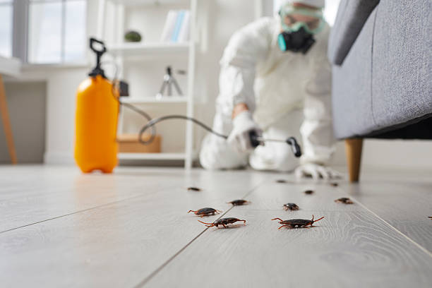 Trusted Mosquito Control service in Belcourt, ND - Nex Pest Control